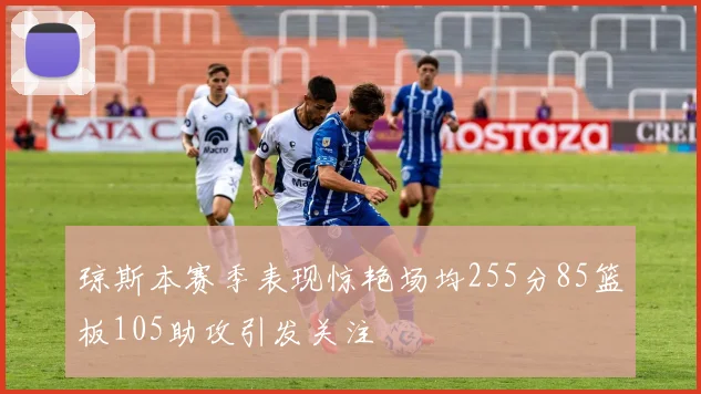 琼斯本赛季表现惊艳场均255分85篮板105助攻引发关注