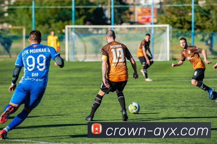 爱游戏平台生态图